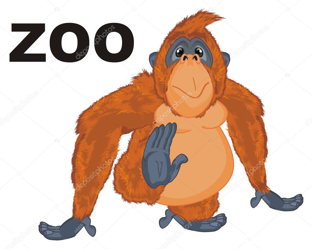 funny orange orangutan and word zoo