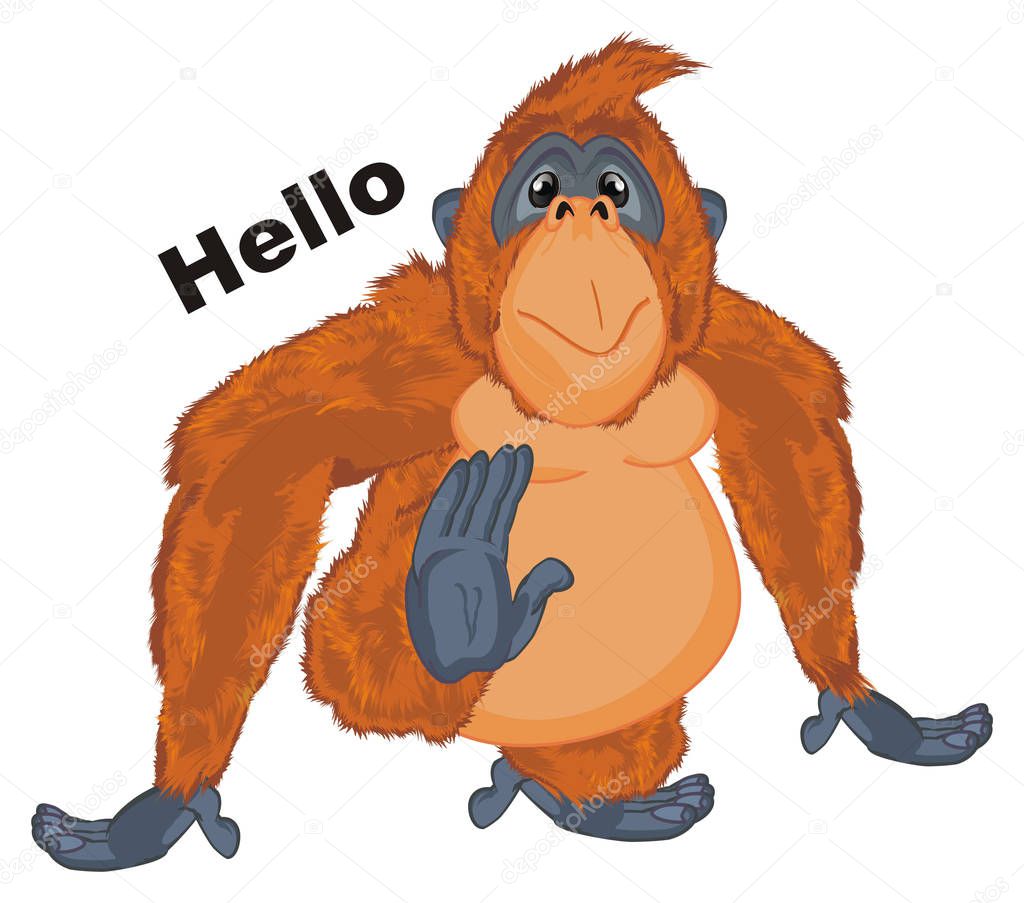 funny orange orangutan say hello to you