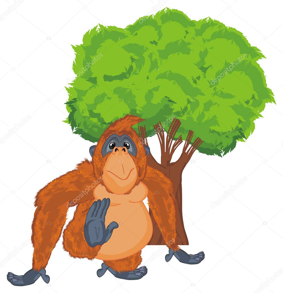 funny orange orangutan and green tree