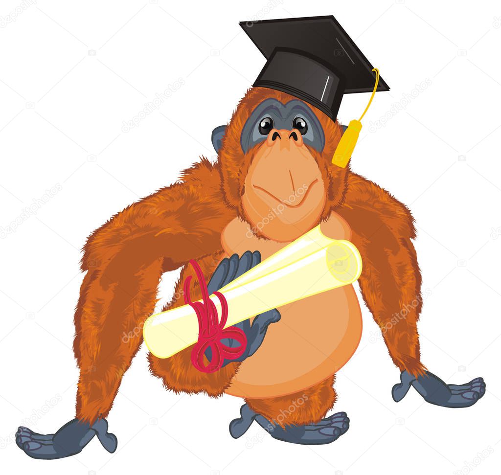 funny orange orangutan ready to study