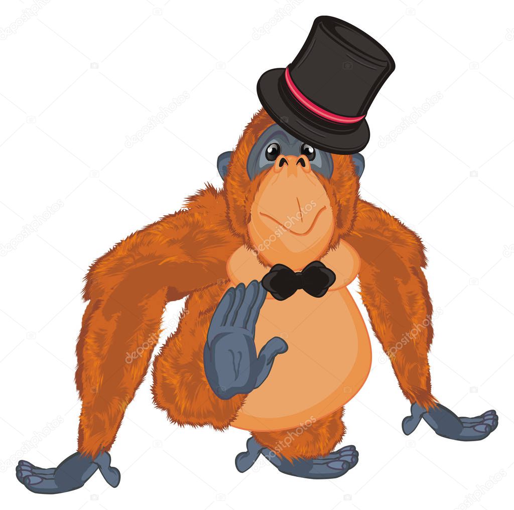 funny orange orangutan boy in black hat and bow