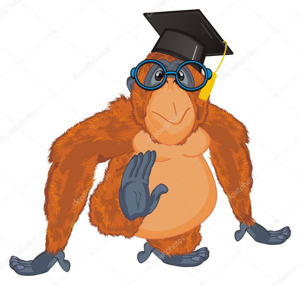 funny orange orangutan in glasses and study hat