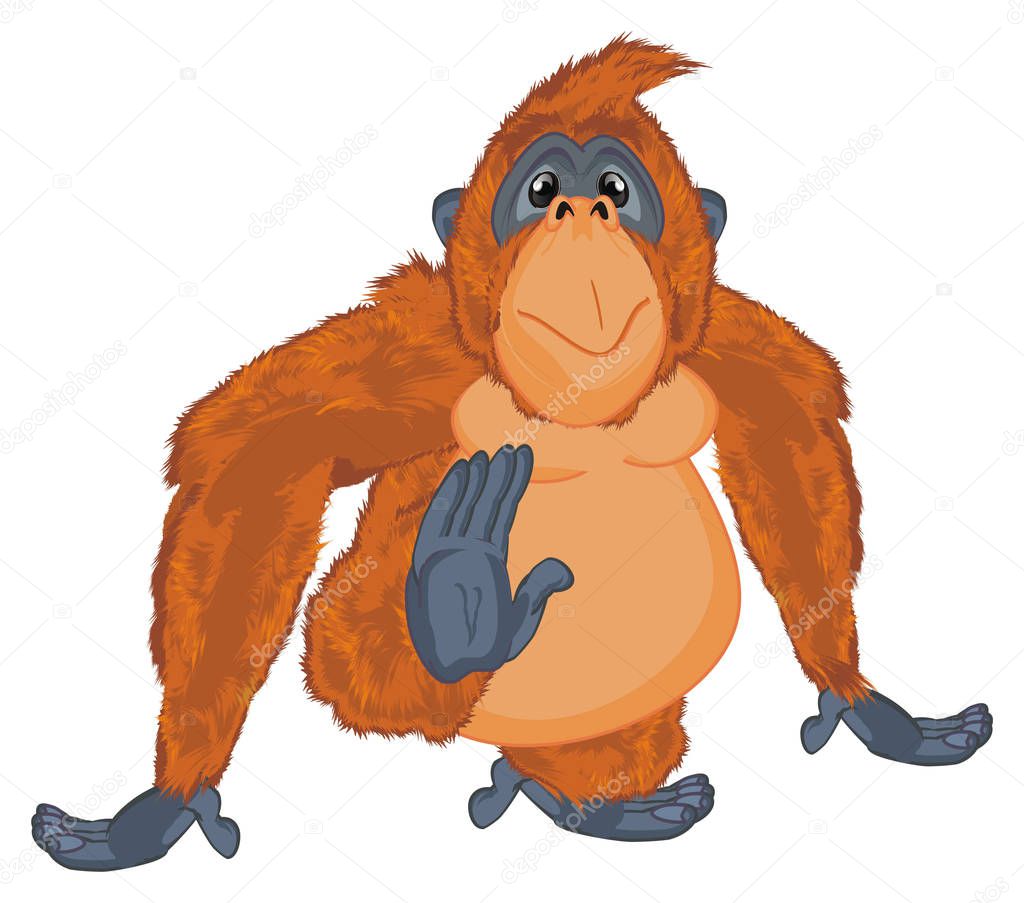 funny orange orangutan on a white background