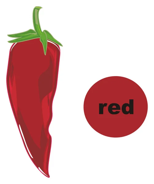 Перец Чили Красный — стоковое фото