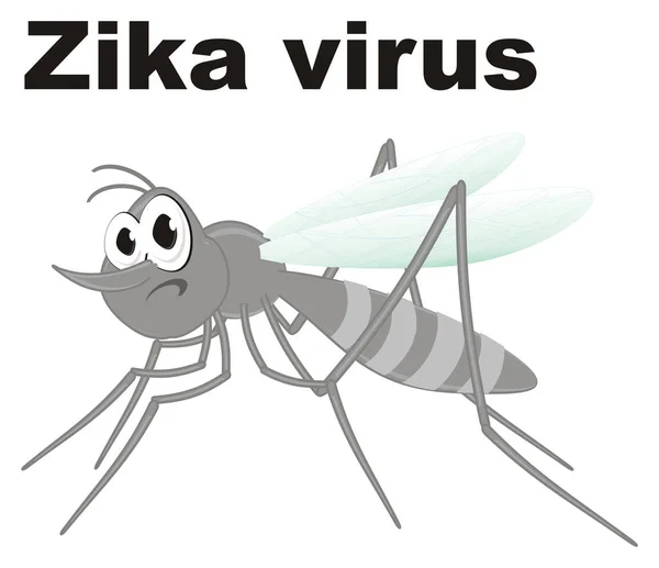 Triste Mosquito Gris Con Virus Del Zika —  Fotos de Stock