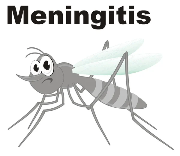 Sad Gray Mosquito Word Meningitis — Stock Photo, Image