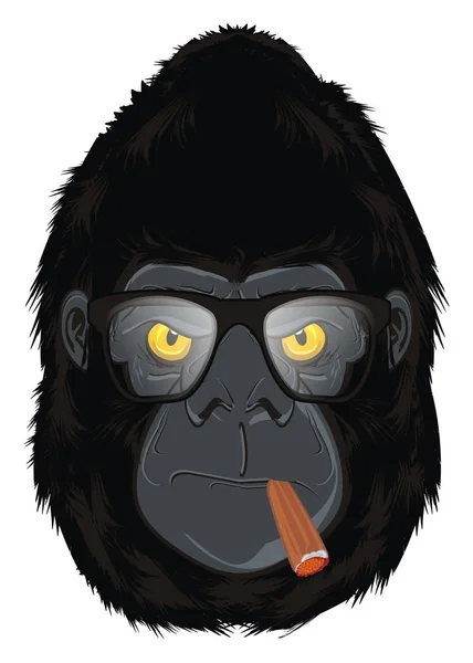 Rosto Mal Gorila Com Ferramentas — Fotografia de Stock