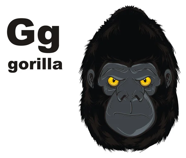 Das Böse Gesicht Von Gorilla Und Abc — Stockfoto