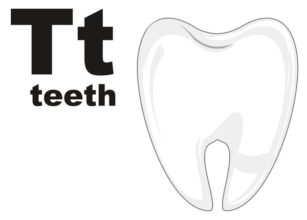Jeden Białe Zęby Jego Nazwę Litery — Zdjęcie stockowe