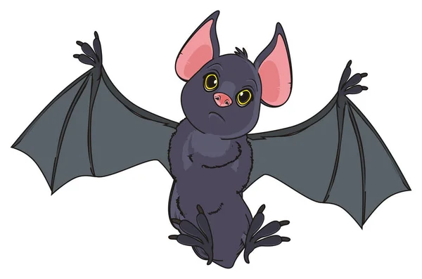 Heureux Fou Chauve Souris Grise — Photo