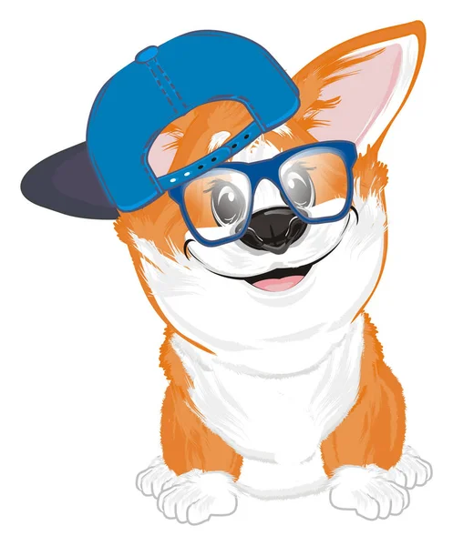 Weinig Grappig Corgi Cap Met Bril — Stockfoto