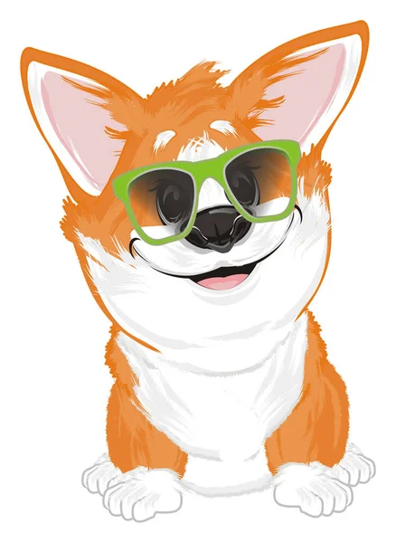 Pequeños Corgi Divertidos Gafas Sol Negras — Foto de Stock