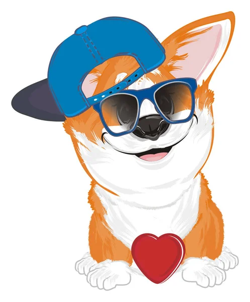 Weinig Grappig Corgi Cap Met Zonnebril Rood Hart — Stockfoto