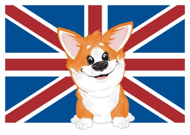 küçük komik corgi büyük İngiltere bayrağı ile