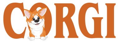 küçük komik corgi göz kadar gelen mektuplar