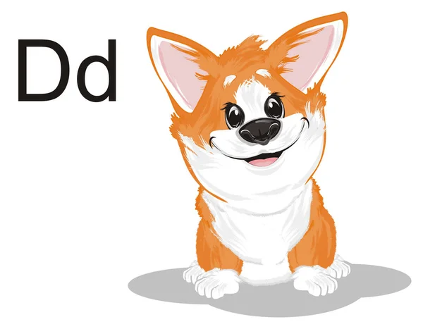 Weinig Grappig Corgi Letters — Stockfoto