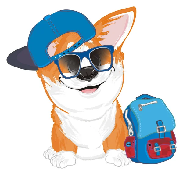 Trendy Και Μικρό Αστείο Corgi Σακίδιο — Φωτογραφία Αρχείου