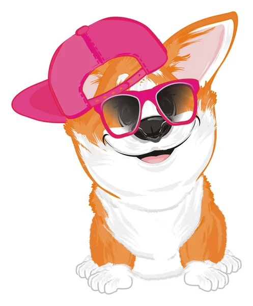 小搞笑的科尔吉粉红色的帽子和太阳镜 — 图库照片
