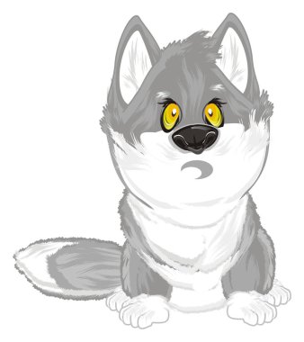 açılan ağzı küçük gri kurtları