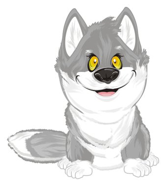 küçük gri kurt sit ve gülümseyen