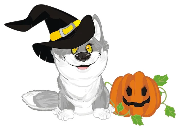 Pequeno Lobo Cinzento Feliz Halloween — Fotografia de Stock