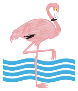 mavi dalga ile pembe flamingo