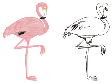 pembe ve boyama flamingo