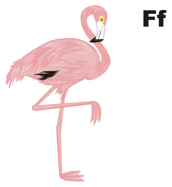 Rosa Flamingo Och Bokstäverna — Stockfoto