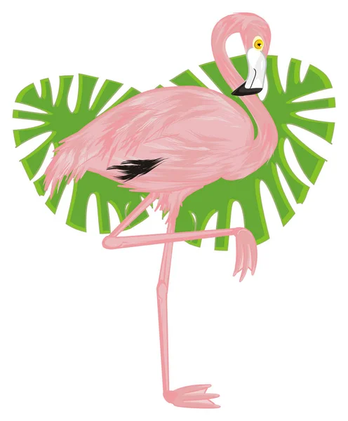 Rosa Flamingo Med Gröna Blad — Stockfoto