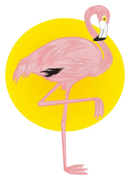 Pink Flamingo Żółtego Słońca — Zdjęcie stockowe