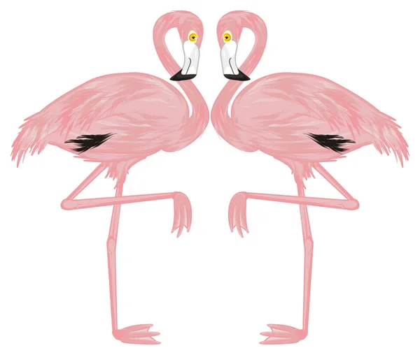 Två Rosa Flamingo Vit Bakgrund — Stockfoto