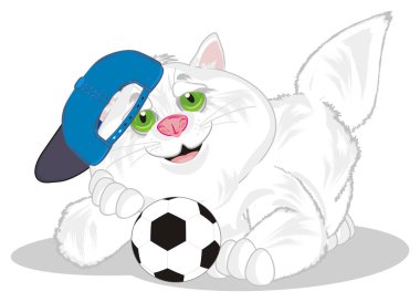 bir top ve kap şişman kedi çocuk gülümseyen