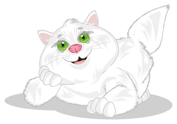 Tersenyum Kucing Gemuk Latar Belakang Putih — Stok Foto