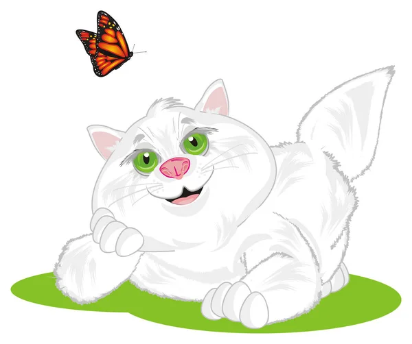 Усміхнений Товстий Кіт Метеликом — стокове фото