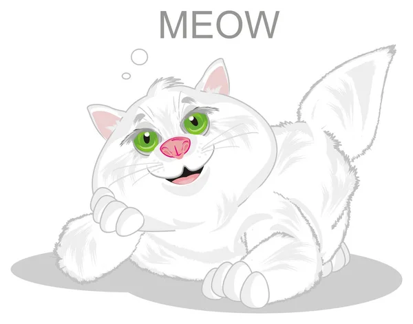 Uśmiechający Się Fat Cat Meow Leżącego Powiedzieć — Zdjęcie stockowe