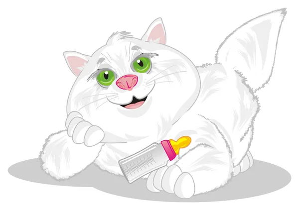 Usmívající Tlustá Kočka Mlékem — Stock fotografie