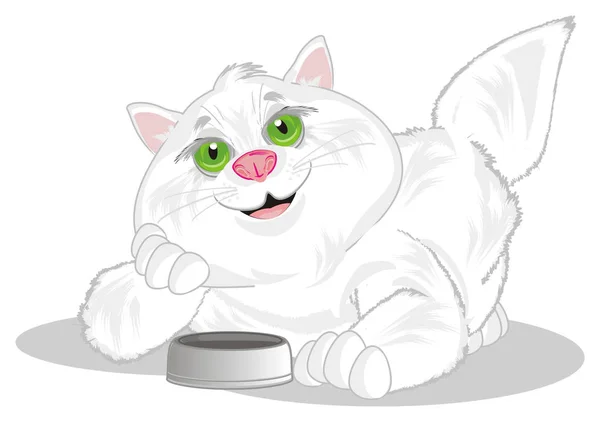 彼のフィードを求める脂肪猫の笑顔 — ストック写真