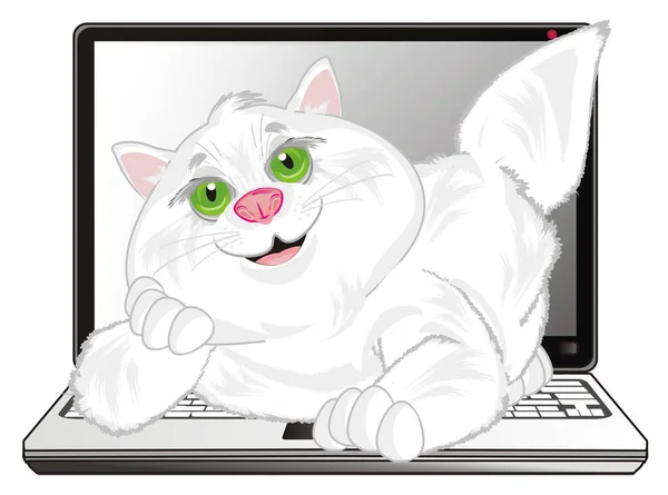 ノート パソコンの横になっている笑顔のデブ猫 — ストック写真
