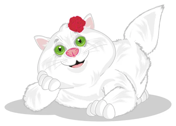 Kırmızı Gül Ile Gülümseyen Şişman Kedi — Stok fotoğraf