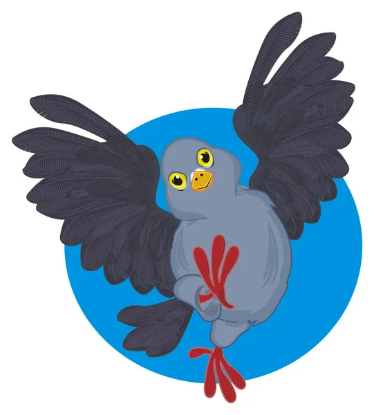 비둘기와 파란색 — 스톡 사진