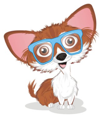 gözlük küçük sevimli chihuahua 