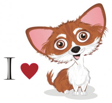 işaretleri ile küçük sevimli chihuahua