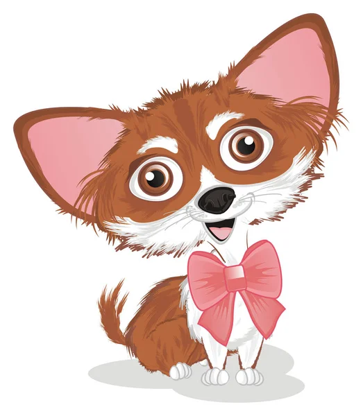 Pequeno Chihuahua Bonito Com Grande Arco Rosa — Fotografia de Stock