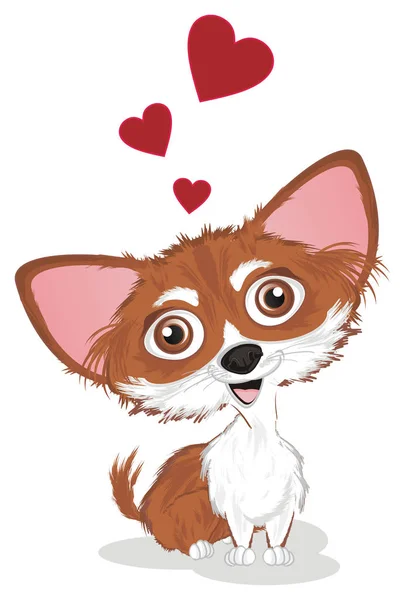 Liten Söt Chihuahua Kär Hjärtan — Stockfoto