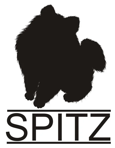 Spitz Katı Siyah Gölge — Stok fotoğraf