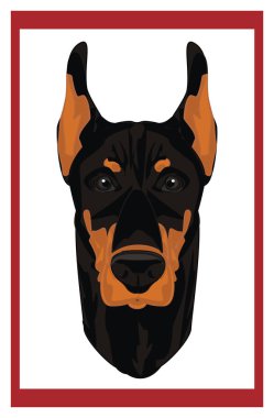 afiş üzerinde doberman yüzü 