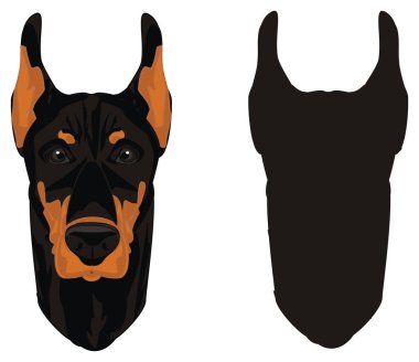 kötü dobermanların iki yüzü