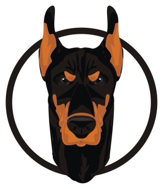 kötü doberman ve yuvarlak şarkı