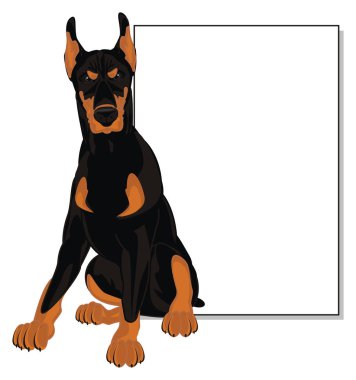 kötü doberman ve temiz kağıt