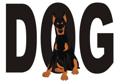 kötü doberman ve kelime köpek